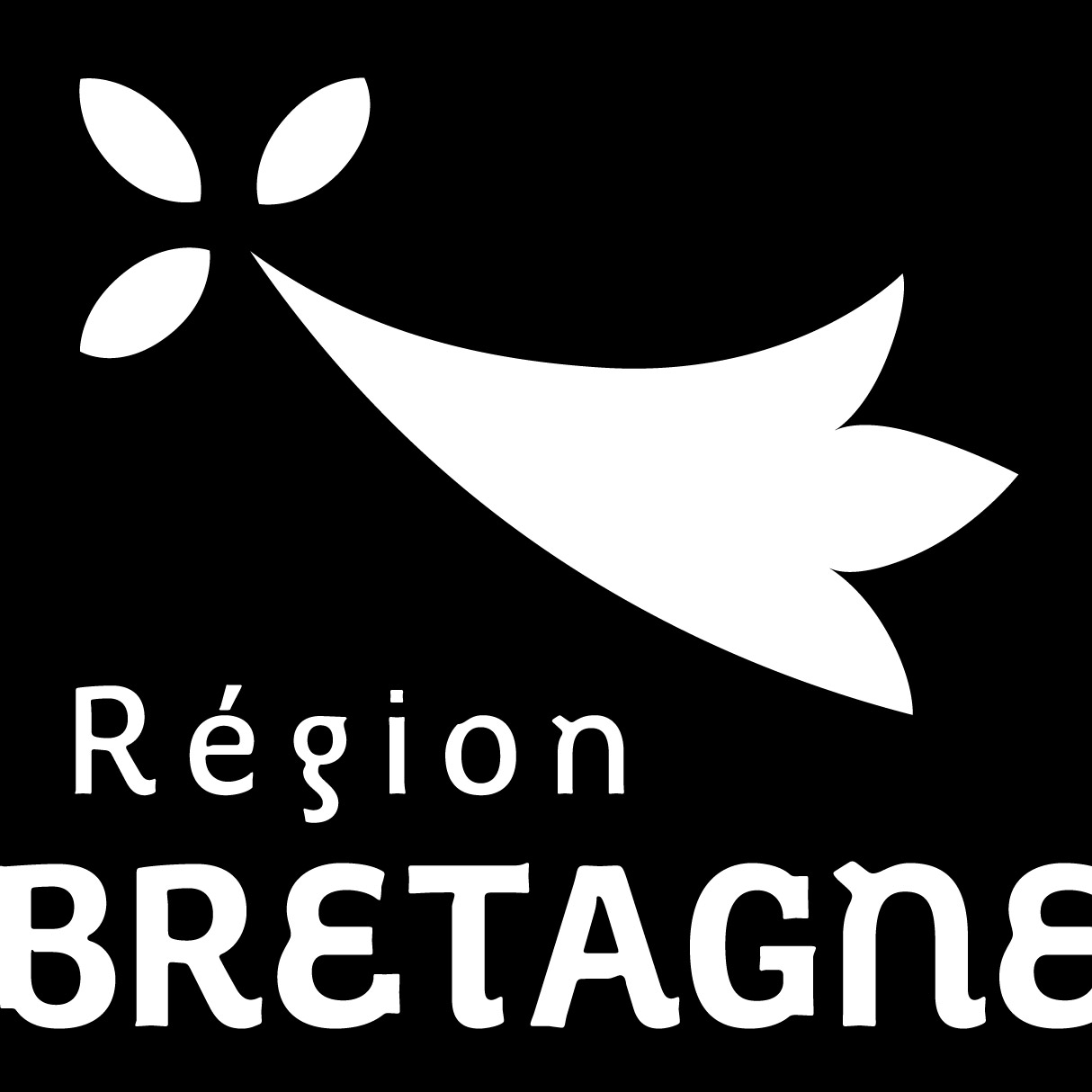Région Bretagne grand format
